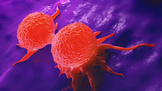 Cancer cells in bloodstream