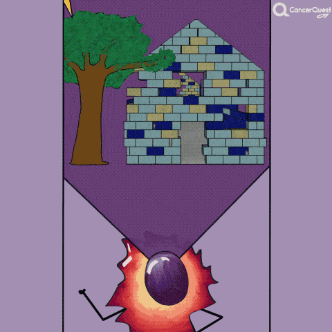 Radiation Therapy | CancerQuest
