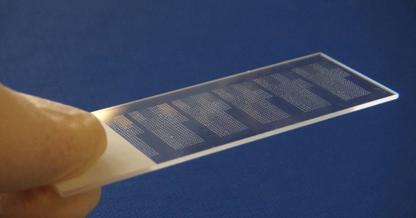 DNA Microarray Chip