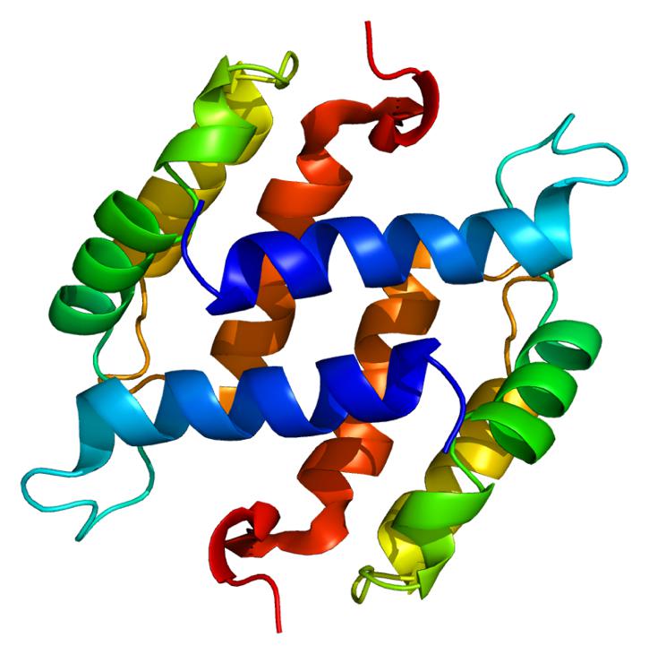 CA-125 protein