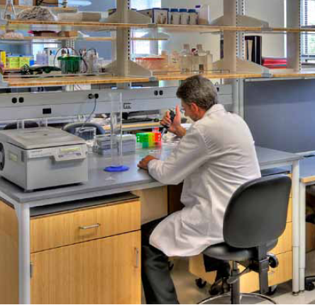 Scientist working at lab bench