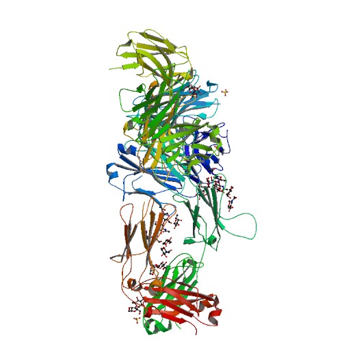 Drug Image Pembrolizumab