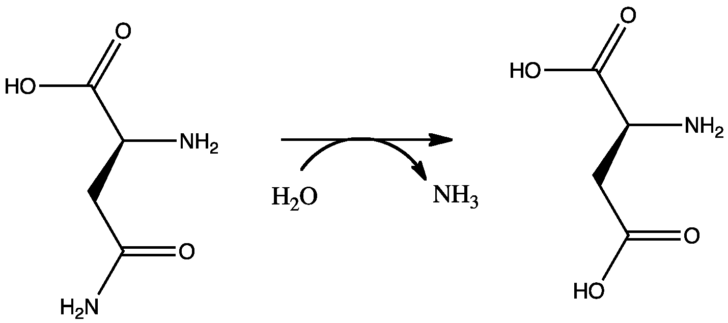 Asparaginase erwinia chrysanthemi 2D