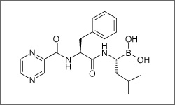 Diagram of the molecular structure of Bortezomib