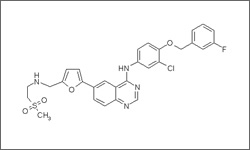 Diagram of the molecular structure of Lapatinib