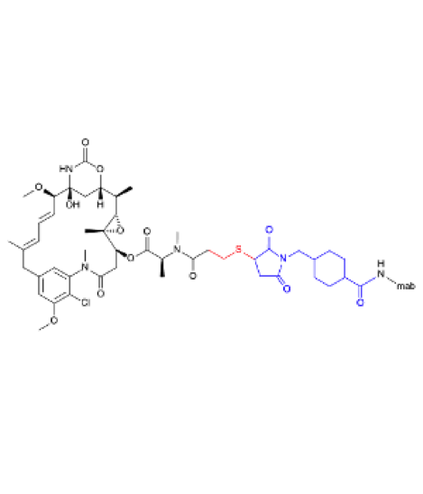 Pertuzumab