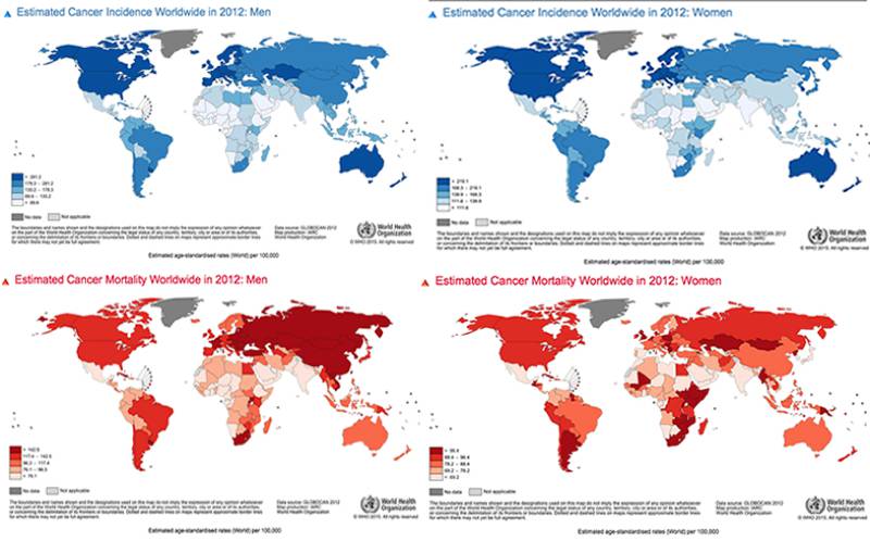 2007 atlanta cancer health disparities