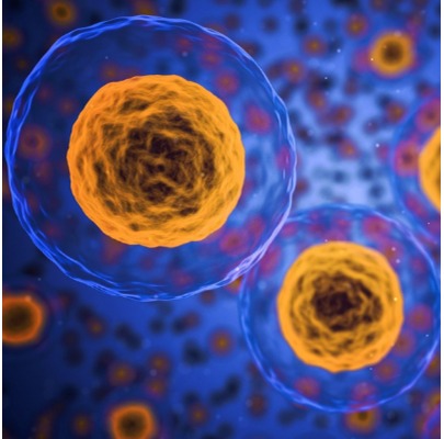 3D computer graphic of generalized cells