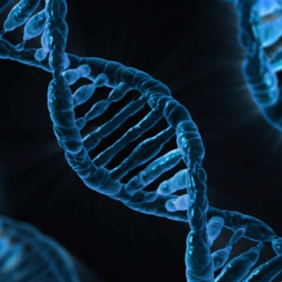 在黑色背景上的DNA图像