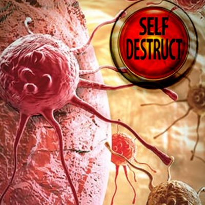 Cancer cells with self destruct button