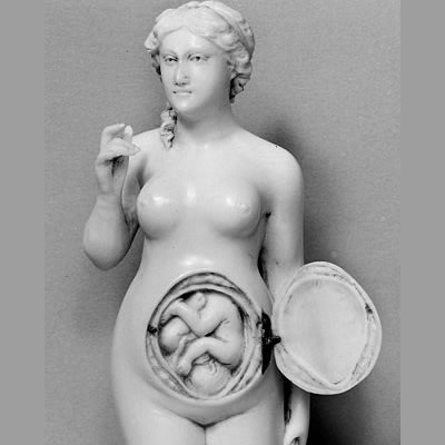Escultura de la anatomía femenina con un feto humano