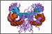 Protein degradation regulator as a tumor suppressor.