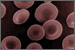 Red Blood Cells As Camouflage For Cancer Treatment.