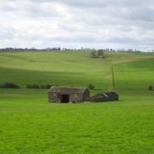 Barn surrounded by green grass fields
