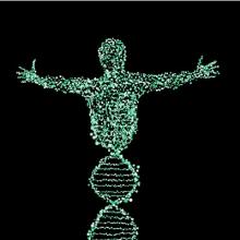 Foto de ADN se convierte en forma de cuerpo humano